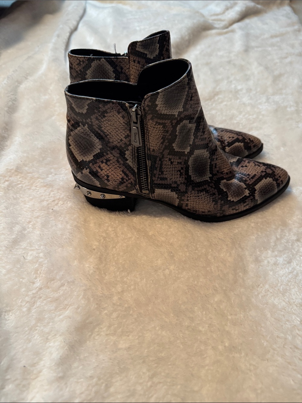 Circus by Sam Edelman Brown Snake-Print Studded Ankle Boots